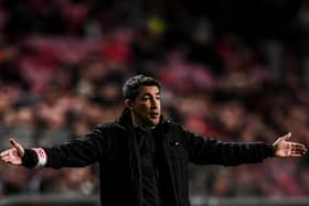 Former Sheffield Wednesday assistant coach Bruno Lage appears set to take over at Wolves. (Photo by PATRICIA DE MELO MOREIRA / AFP) (Photo by PATRICIA DE MELO MOREIRA/AFP via Getty Images)