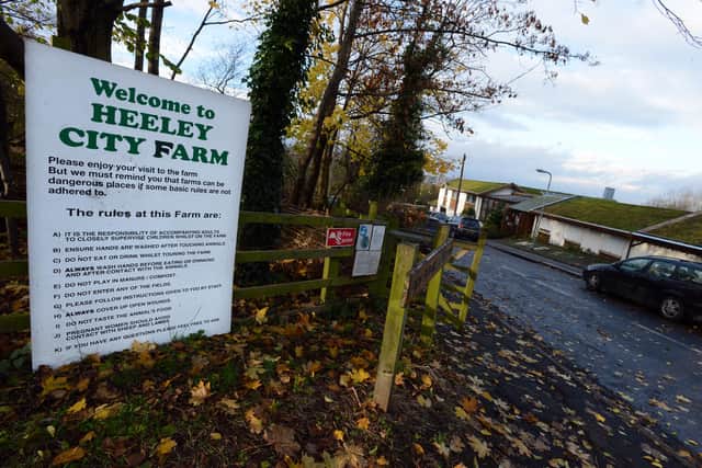 Heeley City Farm is one of the places in Sheffield where you can rent a real Christmas tree.