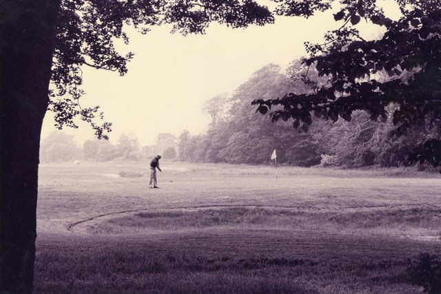 A golfer at Fareham Cams Hall Golf club in October 1993. The News PP3160
