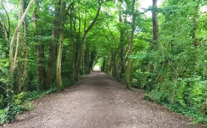The wonderful Wickham Water Meadow can be found a stone's throw away from the centre of the historic town square and is the perfect setting for a little stroll as you sit next to the river which passes over the area like tiny rapids. You can then go up a few steps and you will be on the wonderful Meon Valley Trail (pictured) along the old abandoned railway track.