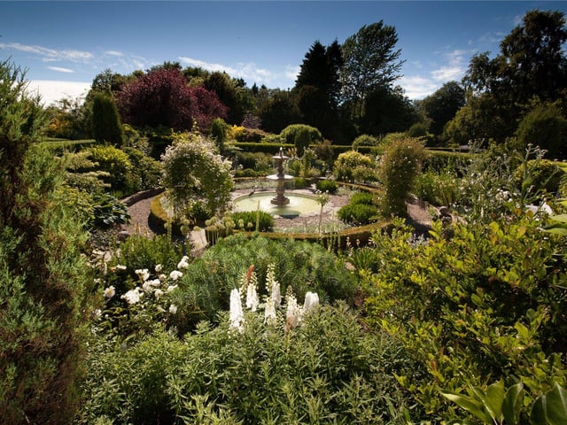 White Garden.