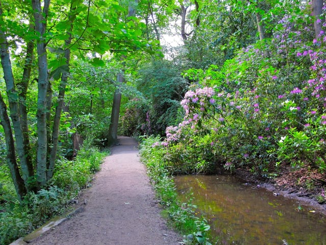 This seven mile linear walk runs from Meanwood Valley through to Breary Marsh, next to Golden Acre Park, meandering through pretty woodland along a relatively flat route, fit for all abilities.