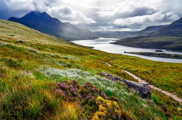 Picture: Shutterstock