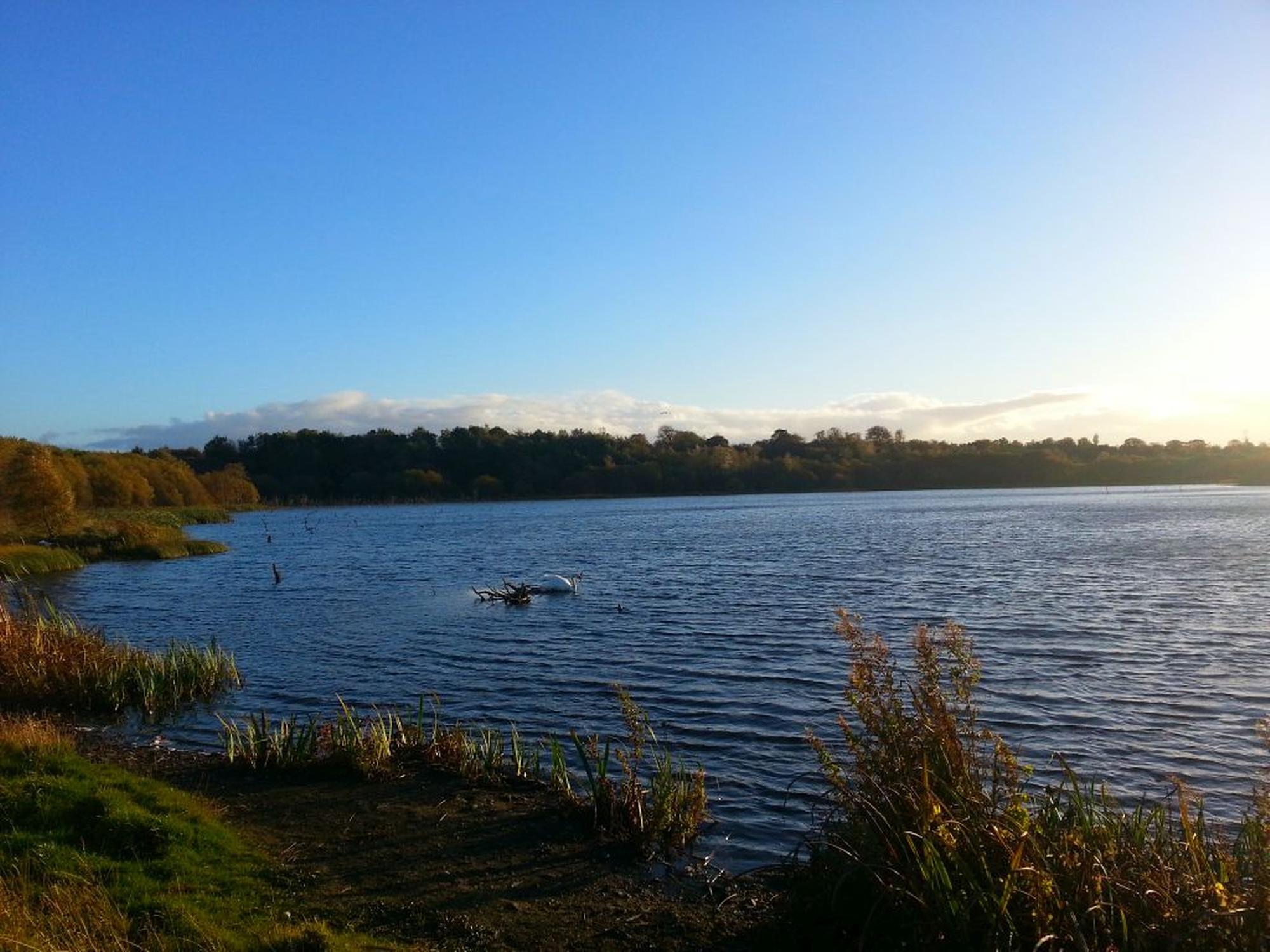 Frankfield Loch, Glasgow