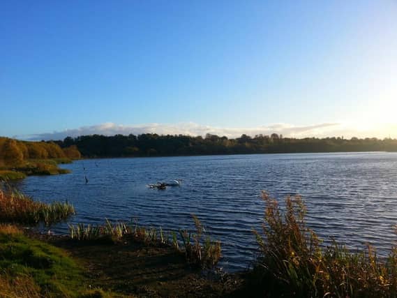 Frankfield Loch, Glasgow