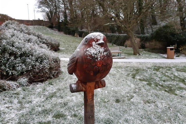 A dusting of snow on a robin sculpture in Coronation Park.