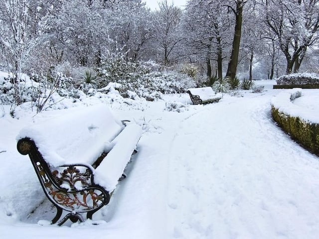 Odds 5/1. Implied chance of snow on Christmas Day: 16.70%