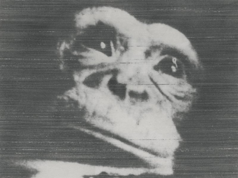 Taken by the onboard camera, Mercury-Redstone 2 spacecraft
Chimpanzee, Ham, during his sub-orbital flight on 19 January 1961
Ham was trained at Holloman AeroMedical Research Laboratories and before the mission was known as "Number 65". The name, an acronym of the research facility, was given to him after the completion of the mission. Ham responded very well to training and became the first primate to survive a 16-minute and 39-second sub-orbital flight. During the flight Ham performed all his tasks up to his training expectations.