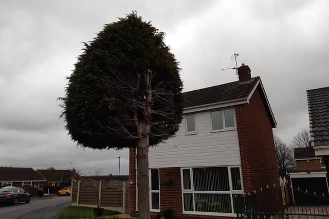 It’s now 18 months since the tree outsidea house on peaceful Briar Close, in Waterthorpe was cut in half, and neighbours are unhappy that it still remains in the same state.