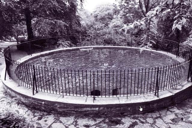 This view of the pit shows where a child is claimed to fallen to its death