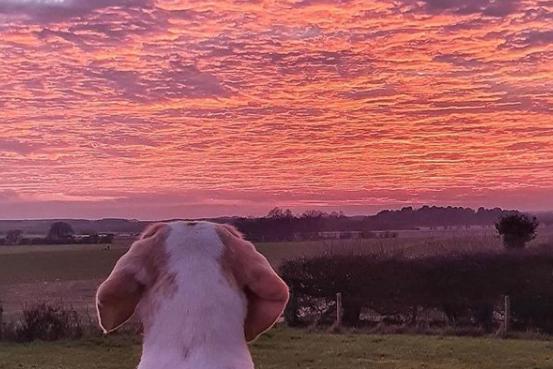 What a bright and wonderful sunset from @excusemephotography