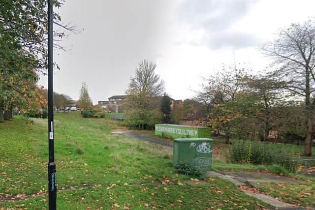 A Google Maps view of the green space off Rock Street in Burngreave that Sheffield City Council has put up for sale. A petition has been launched to convert it to community use instead