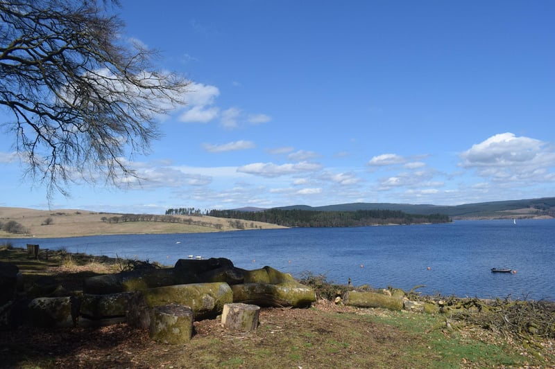 Kielder Waterside is another highly rated dog-friendly place.