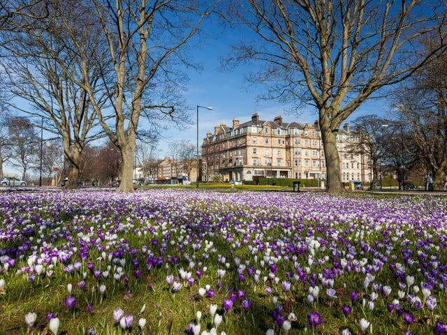 A picturesque town in the north of Yorkshire, Harrogate is buzzing with independent shops and beauty - it’s also close to the scenic North Yorkshire moors - perhaps the reason why it’s voted the ninth happiest spot in the UK.