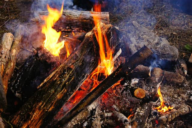 People in Sheffield have been urged not to have bonfires during the coronavirus pandemic (pic: Pixabay)