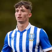 Sheffield Wednesday youngster Lewis Farmer has joined Redditch United on a short-term loan.