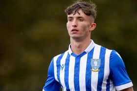 Sheffield Wednesday youngster Lewis Farmer has joined Redditch United on a short-term loan.