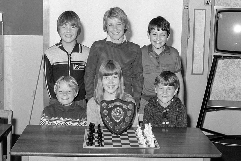 1980 and Rainworth's Python Hill Chess Team - did you play?