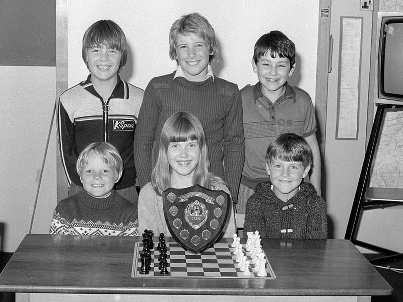 1980 and Rainworth's Python Hill Chess Team - did you play?