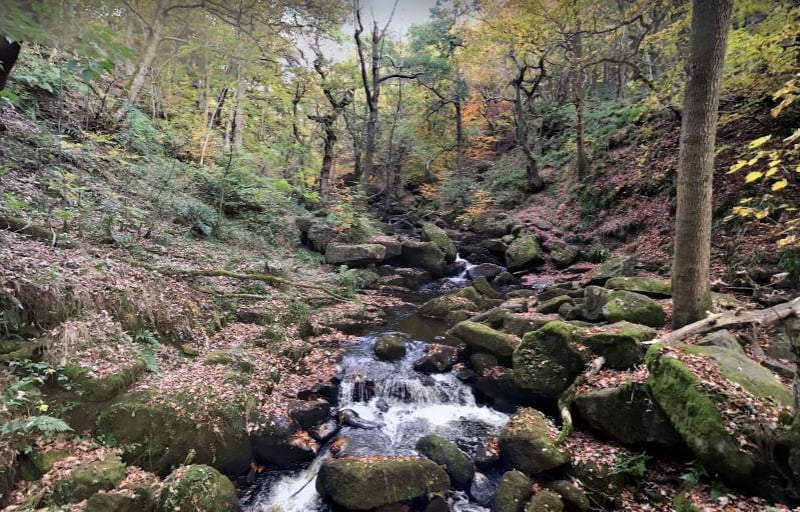 Take a trip out to Padley Gorge where you can find a 4.7 kilometre loop trail located near Hope.