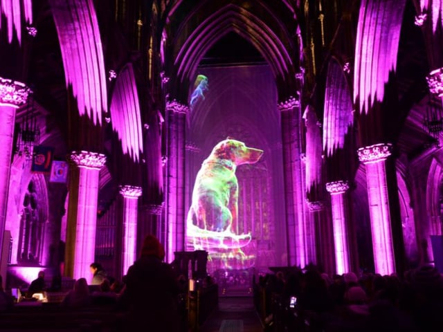 All sorts of animals were included in the art.