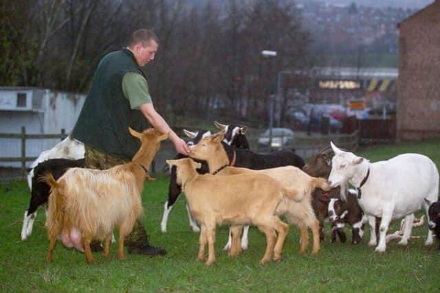 "We are very saddened to lose Philip Ridsdale who volunteered and worked with the youth and animal team at Heeley City Farm for over twenty years."