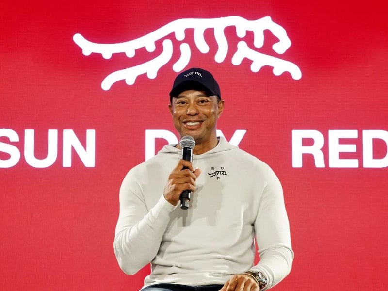 One of the richest sports stars on the planet, Tiger has a huge reported net worth of $800 million - wowza.