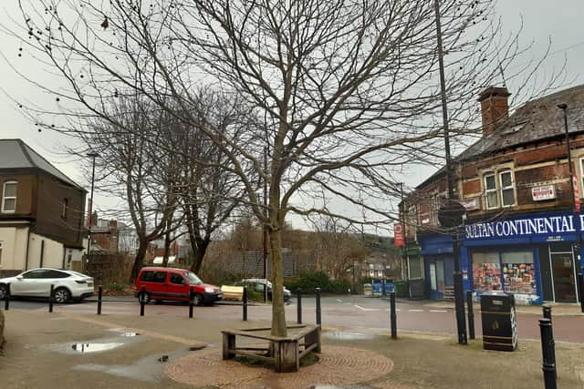 A tree at Upperthorpe precinct, Sheffield which has had a bench added to it by a member of the public. Picture: Julia Armstrong, LDRS