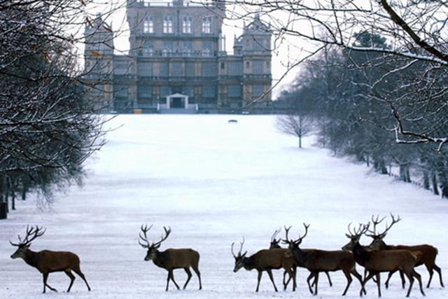 If you don't mind travelling towards Nottingham, there are few more spectacular places to visit than Wollaton Hall, where its Christmas season begins on Friday and runs until early January. Take a festive tour of the kitchens or follow an amazing outdoor light-trail in the acres of parkland.