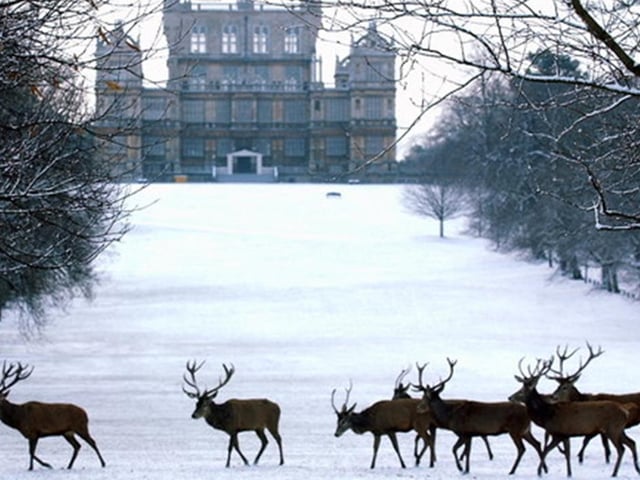 If you don't mind travelling towards Nottingham, there are few more spectacular places to visit than Wollaton Hall, where its Christmas season begins on Friday and runs until early January. Take a festive tour of the kitchens or follow an amazing outdoor light-trail in the acres of parkland.