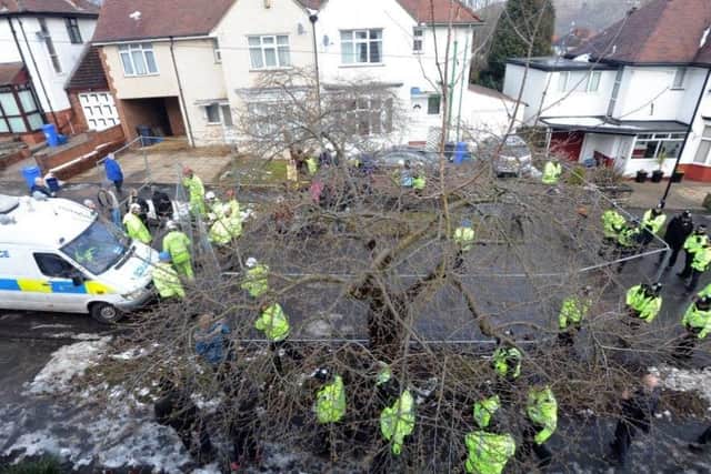 Sheffield City Council faced protests in response to its controversial tree felling programme which aims to replace thousands of the city's 36,000 street trees.