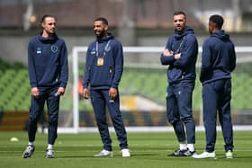 Will Keane, CJ Hamilton and Shane Duffy of Republic of Ireland inspect the pitch (Charles McQuillan/Getty Images)