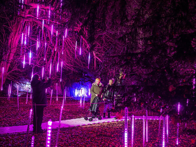 Hopetoun House grounds like you have never seen it before.