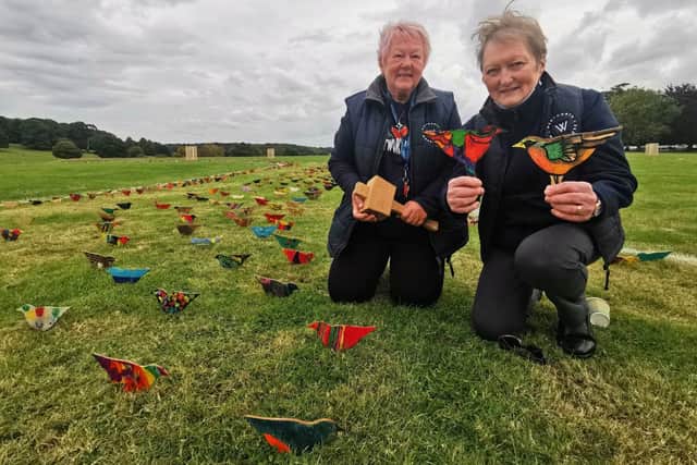 Wentworth Flock volunteers Sue Jones and Rosemary Johnson with some of the 10,000 decorated birds on display