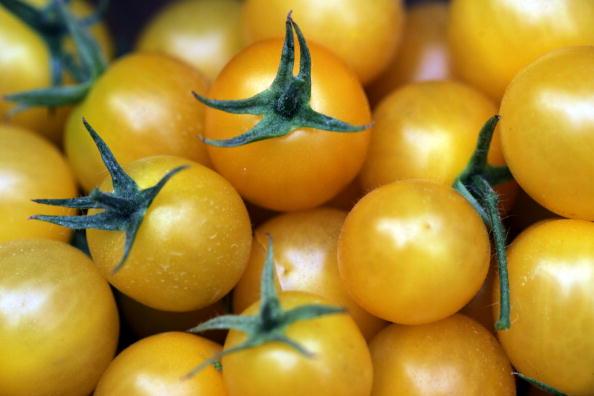 Professor Don Grierson of the University of Nottingham led a team that produced the first genetically engineered tomato. The tomato went on to be the first genetically modified plant food to be approved for sale on both sides of the Atlantic.