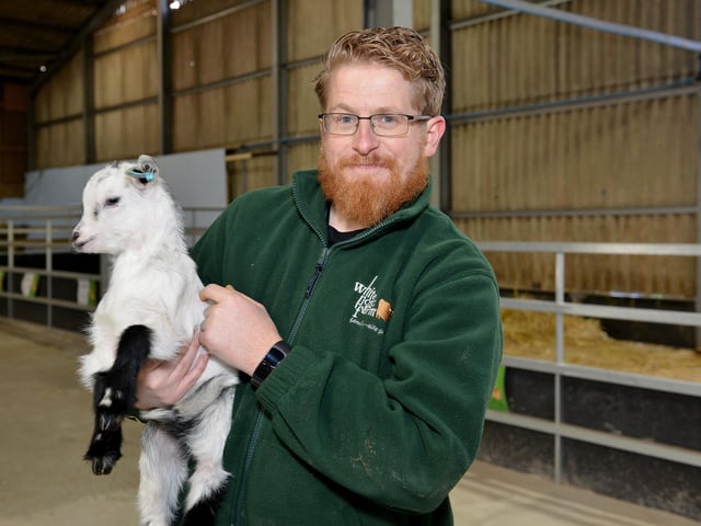 If you head to the farm in Farnsfield this weekend you might be lucky and see some baby animals including piglets.