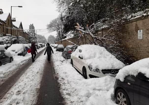 Trees have fallen under the weight of snow in Sheffield over the last few days. This picture shows a fallen bough on a car