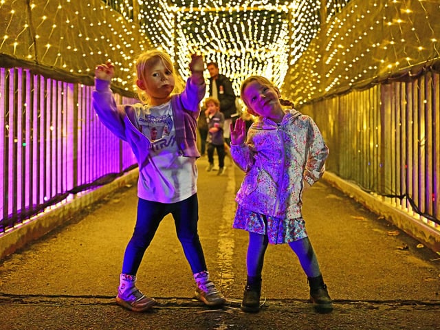 Sparkling fairy lights in Derwent Garden
