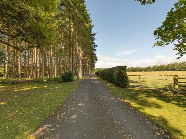 Driveway.
