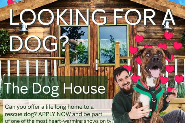 Channel 4 'The Dog House' candidate applicants flyer