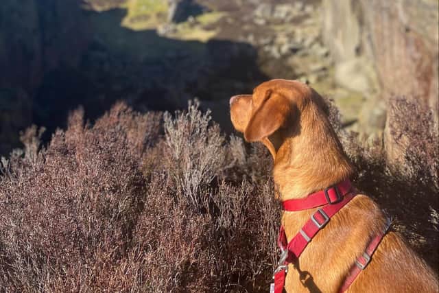 Joanna Mcnamara is walking a 100km trek in a bid to raise money for a cancer charity and raise awareness for self-examination.