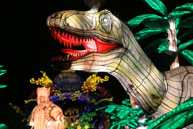 A spectacular light and lantern festival created some dazzling Christmas magic as the award-winning Yorkshire Wildlife Park unveiled the Winter Illuminations trail today. Picture: Chris Etchells