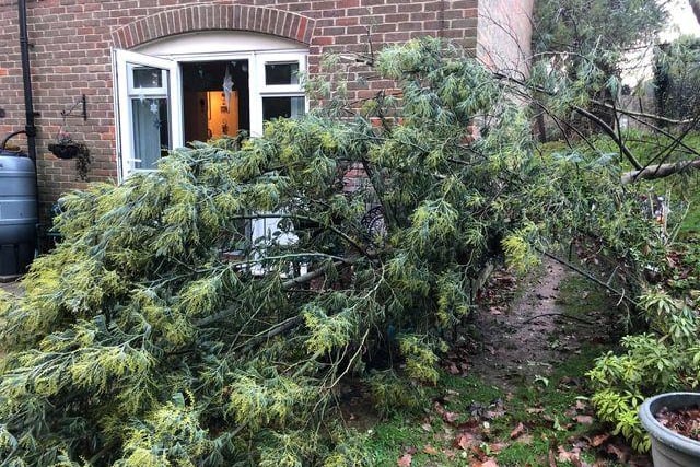 Storm Bella brought down a tree at a home in Wickham
