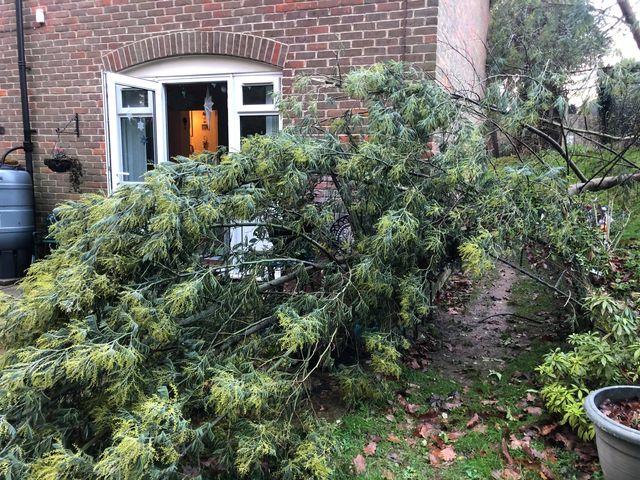 Storm Bella brought down a tree at a home in Wickham