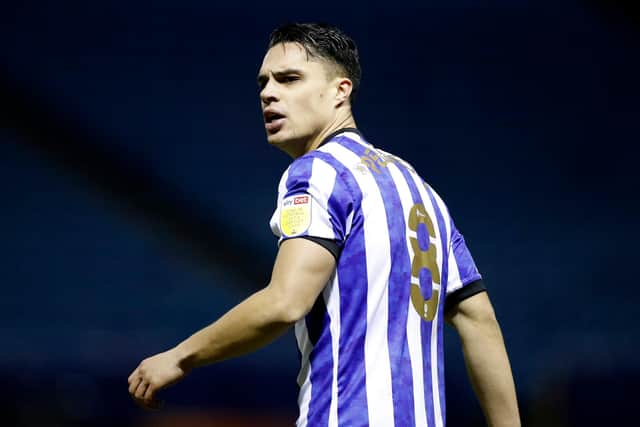 Sheffield Wednesday midfielder Joey Pelupessy is in the final months of his current contract.