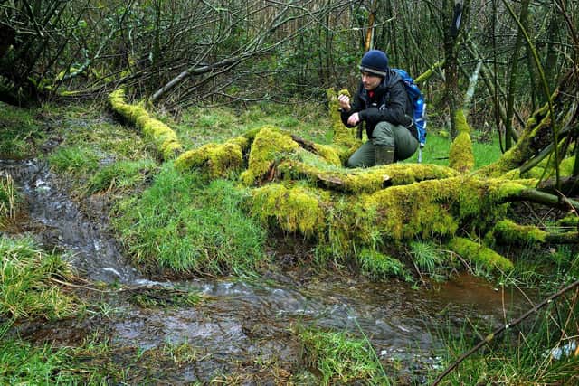 Sheffield and Rotherham Wildlife Working with Water project: Nabil Abbas checking moss at a wet field corner near Agden