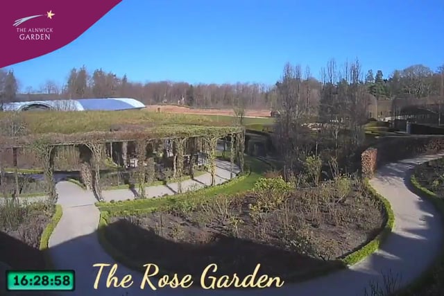 The Rose Garden at The Alnwick Garden.

https://www.alnwickgarden.com/