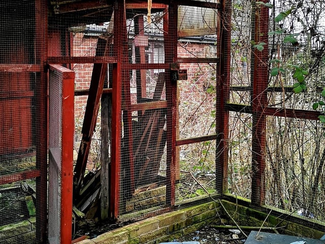Some of the outbuildings were converted into an aviary to house small birds.