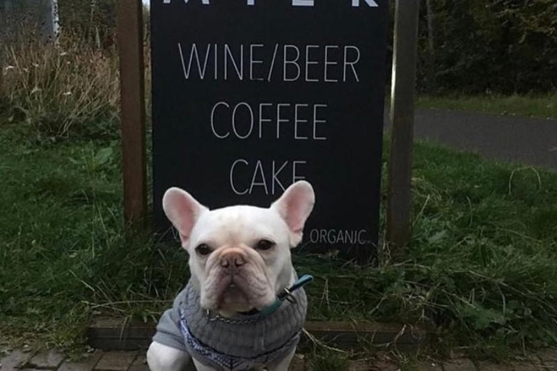 MILK Cafe has a lot of canine customers at their Edinburgh Sculpture Workshop branch, where they sell dog muffins. 
www.cafemilk.co.uk