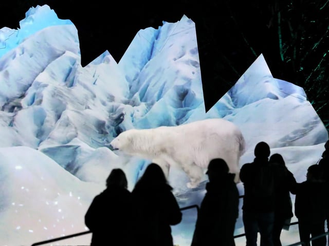 Members of the public are silhouetted against an animation of of polar bears which was projected onto an iceberg installation at the launch of Edinburgh Zoo's Christmas.